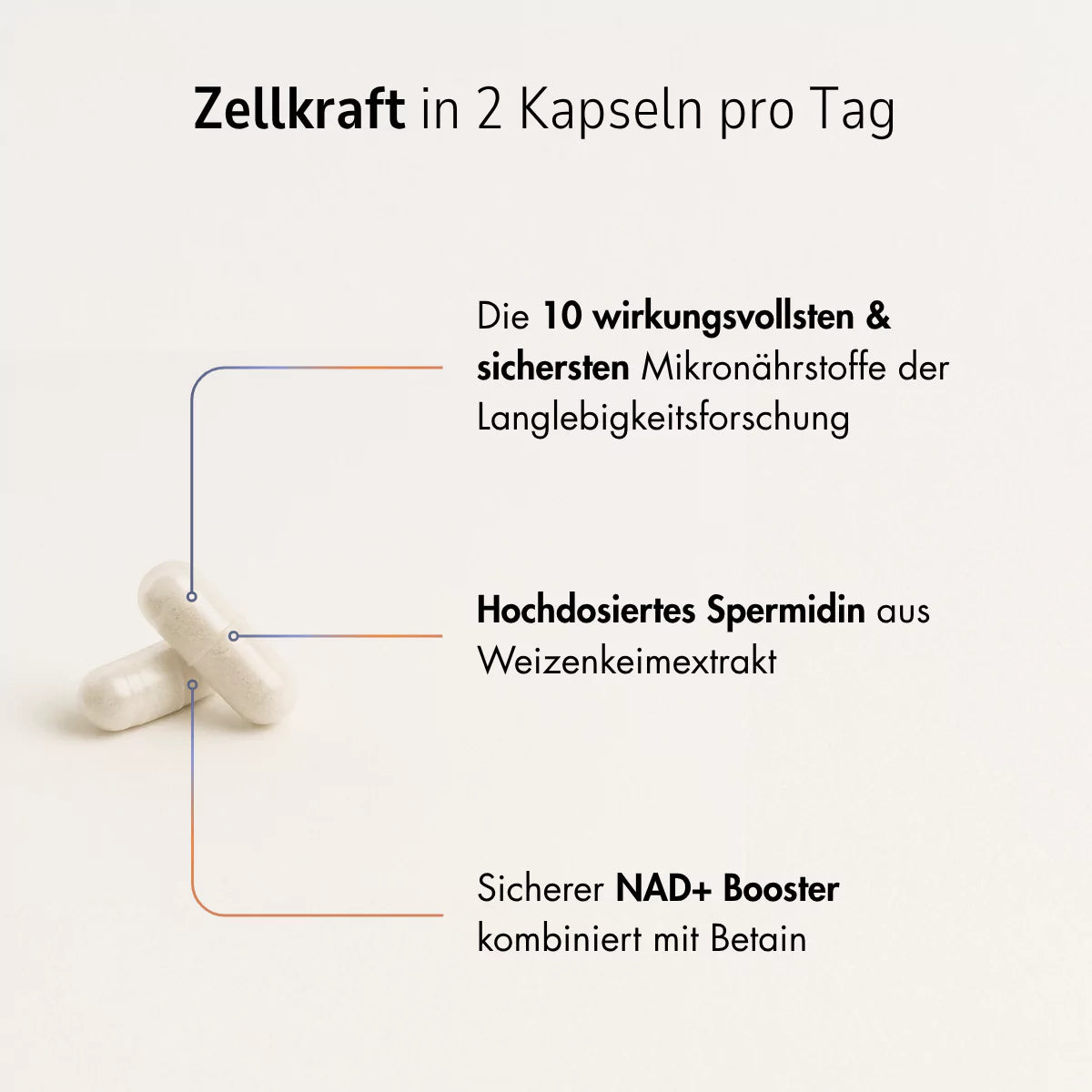 Zell Boost | Abo-Deal