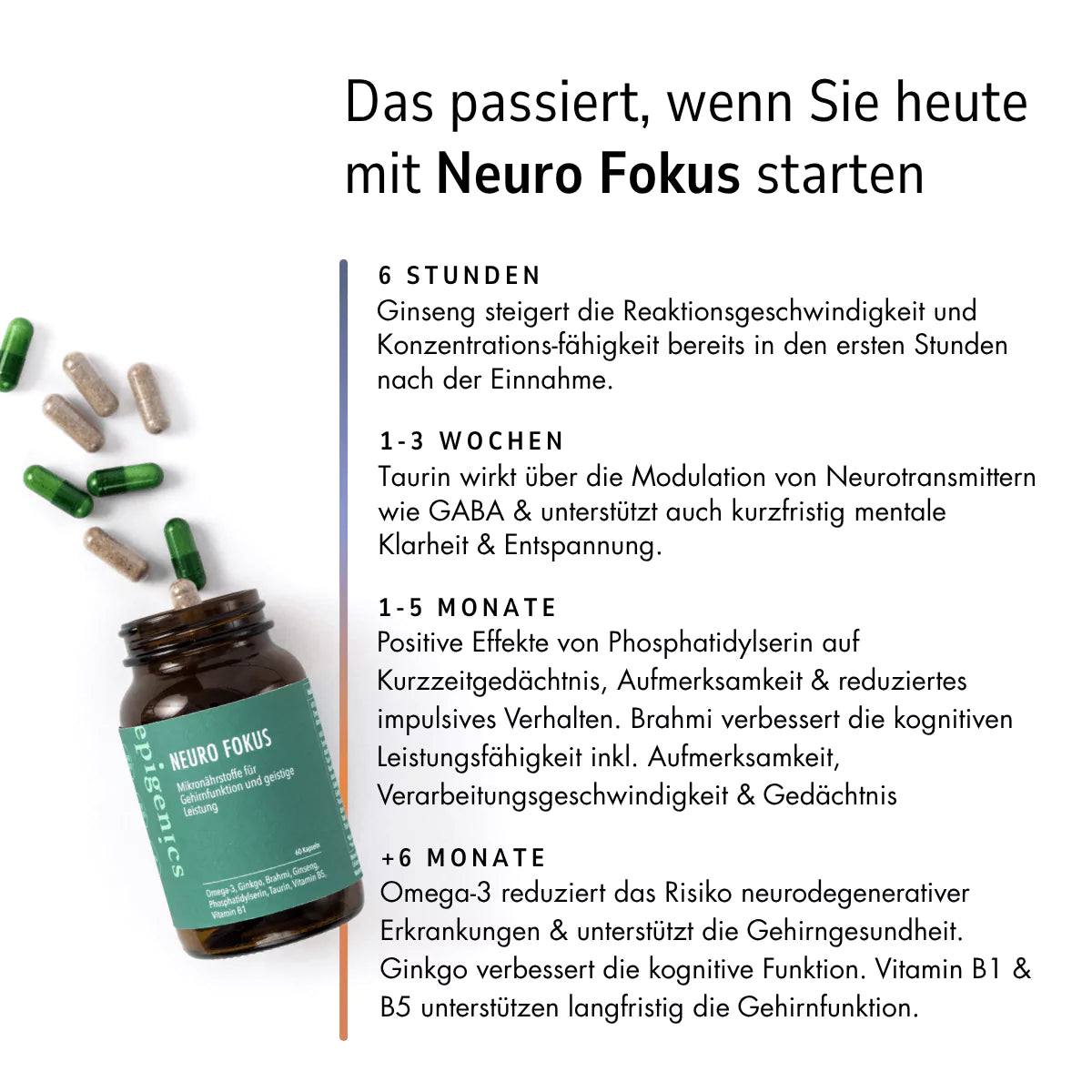 Neuro Fokus