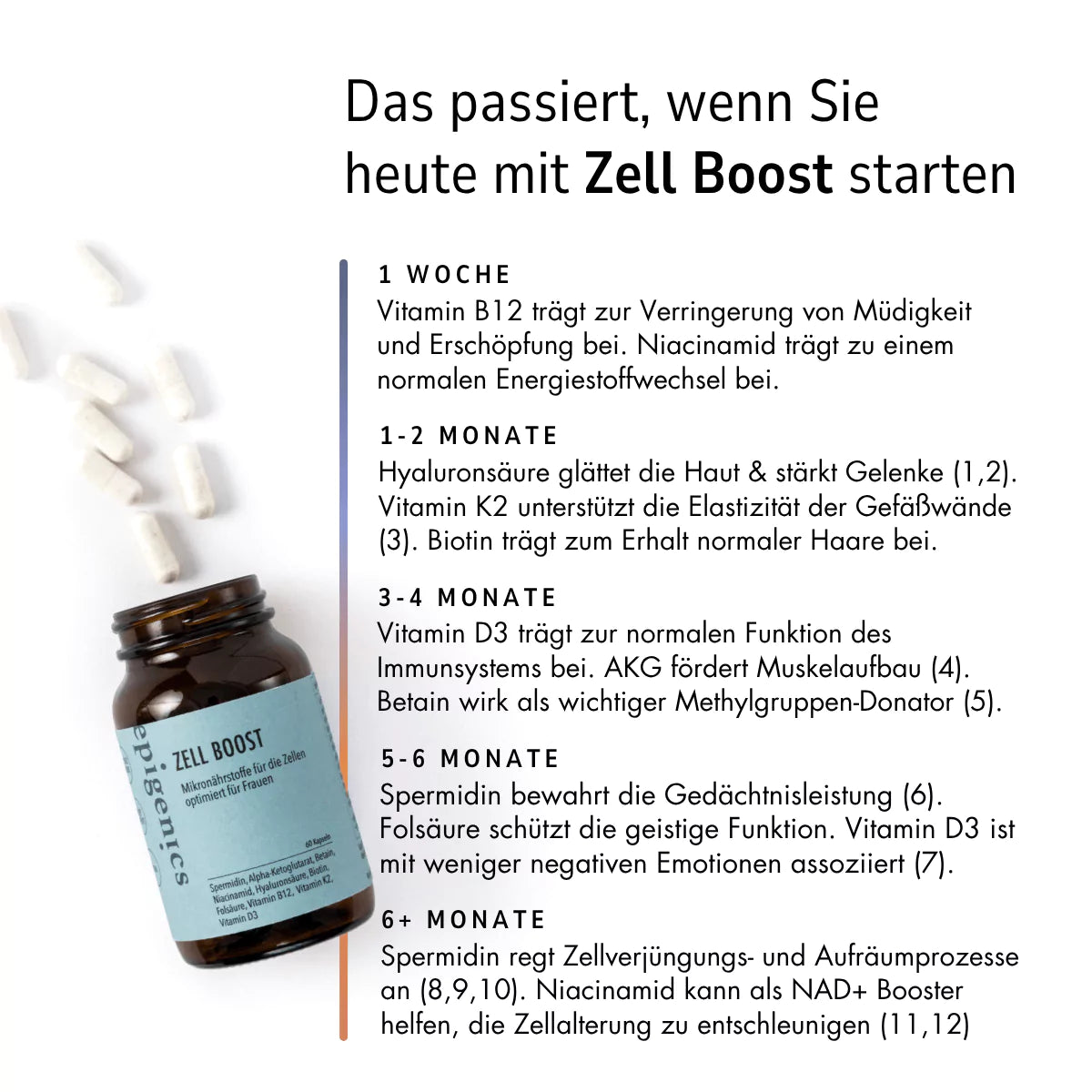 Zell Boost + Deep Recovery + Neuro Fokus