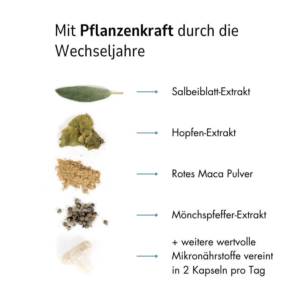 Zell Boost + Meno Vital