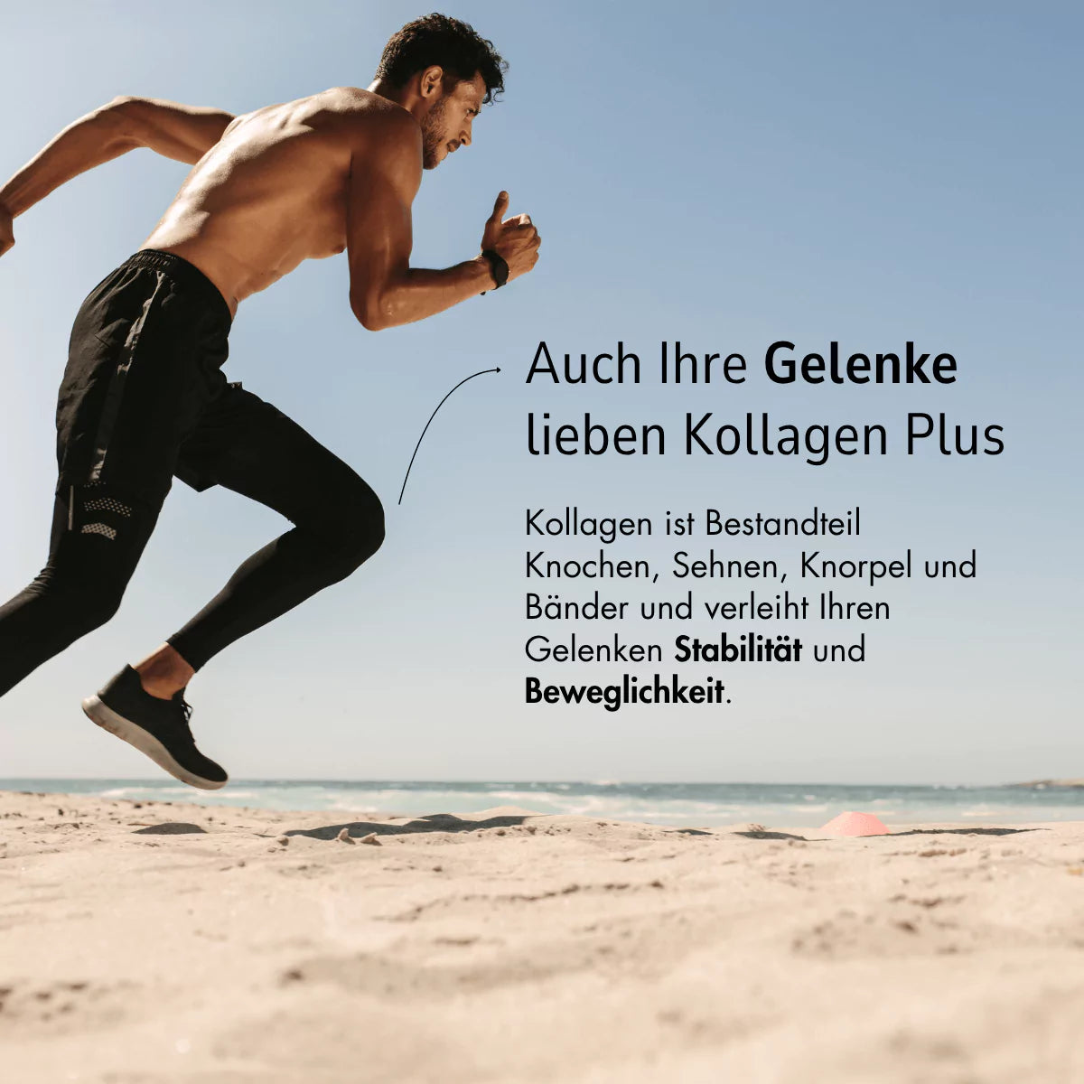 Zell Boost + Kollagen Plus + Biom Aktiv