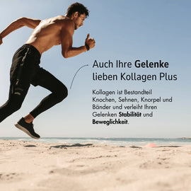 Zell Boost + Deep Recovery + Kollagen Plus + Neuro Fokus + Biom Aktiv