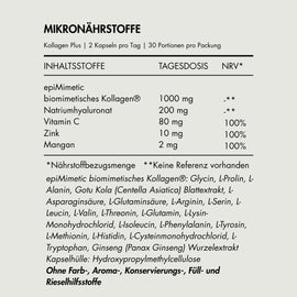 Zell Boost + Deep Recovery + Kollagen Plus + Neuro Fokus + Biom Aktiv