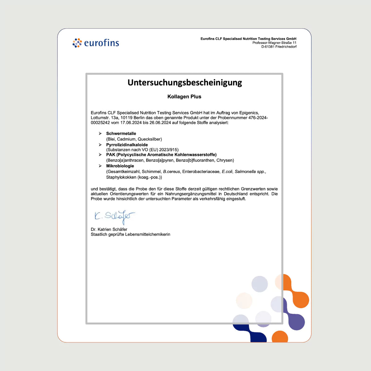 Zell Boost + Kollagen Plus + Biom Aktiv