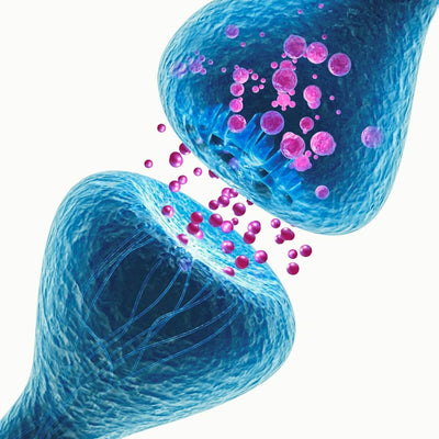 GABA