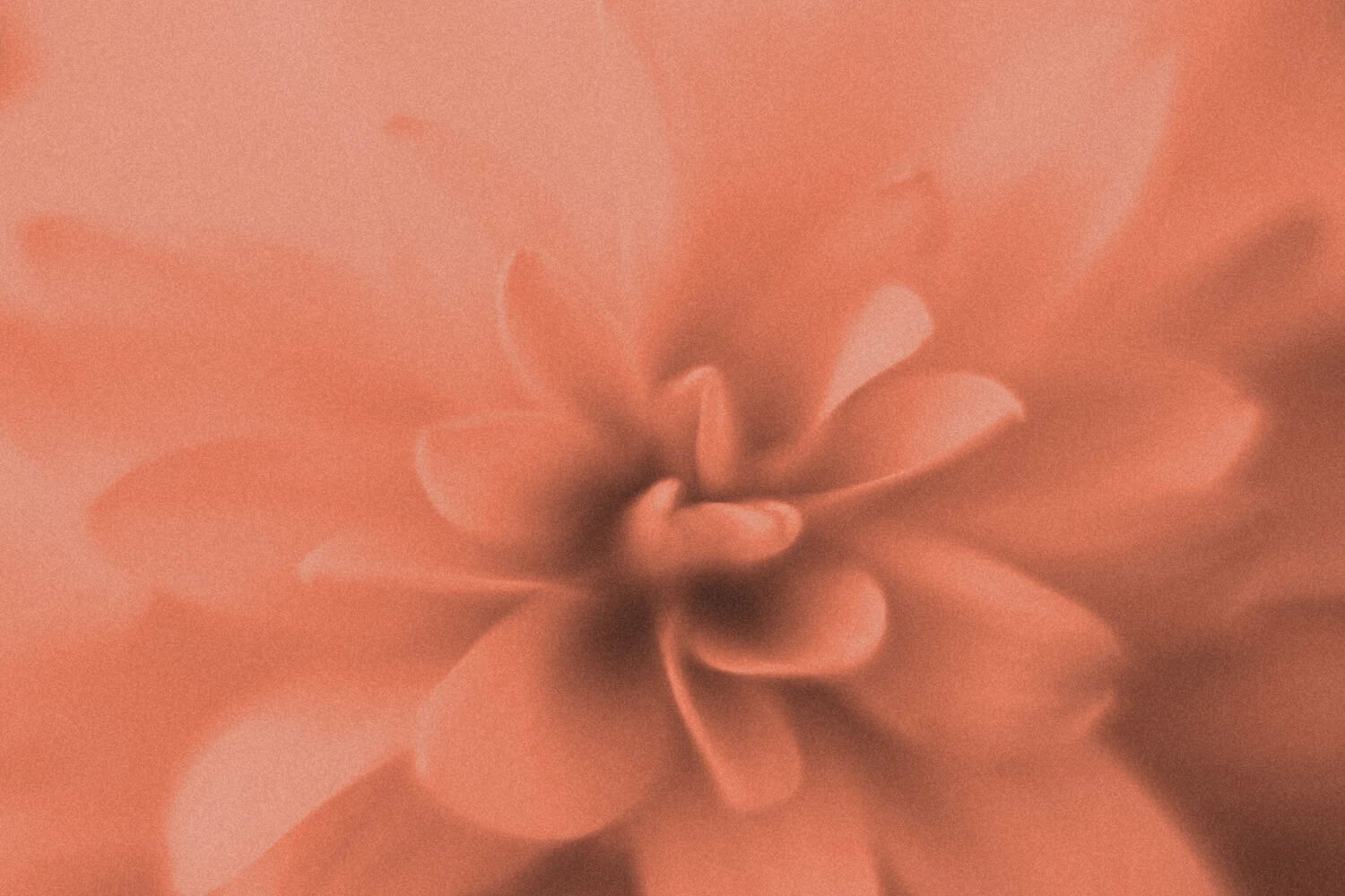 Epigenics