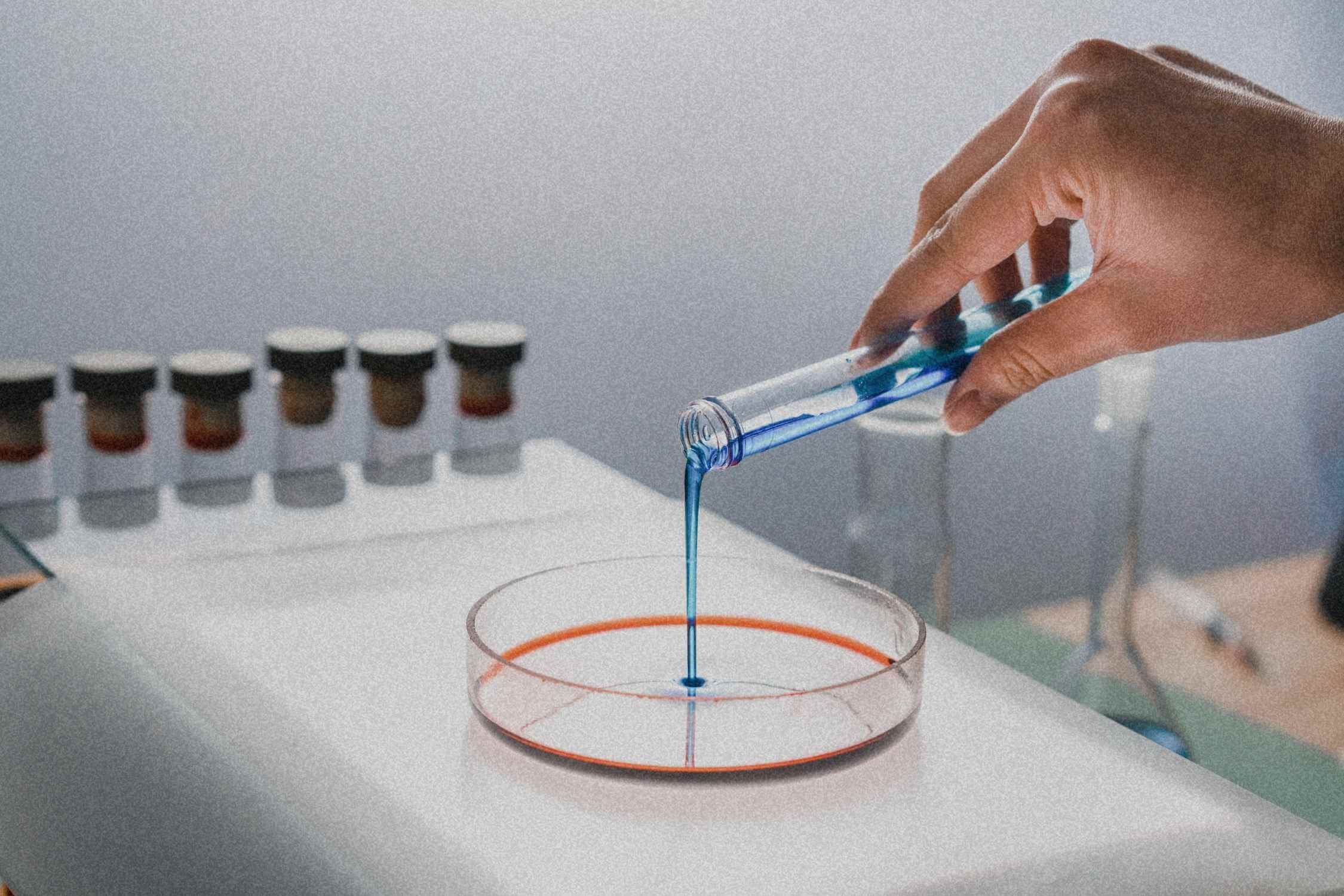 David Sinclair: seine Forschung zu Anti-Aging & persönliche Routine für Longevity