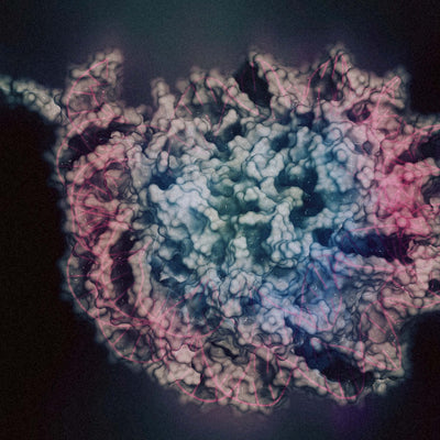 Epigenetik