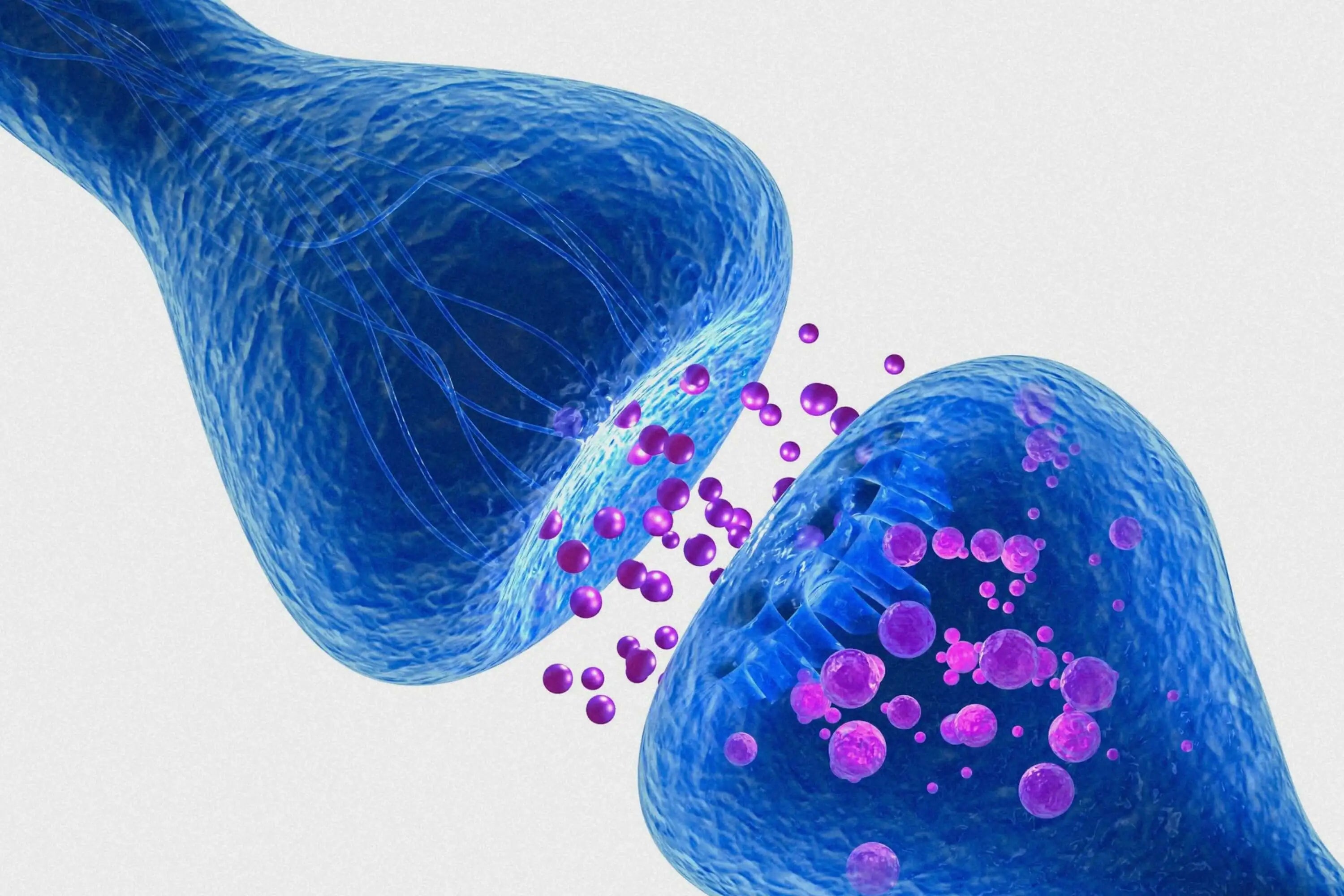 GABA und Schlaf: Wie der Neurotransmitter Ihre Nachtruhe verbessern kann