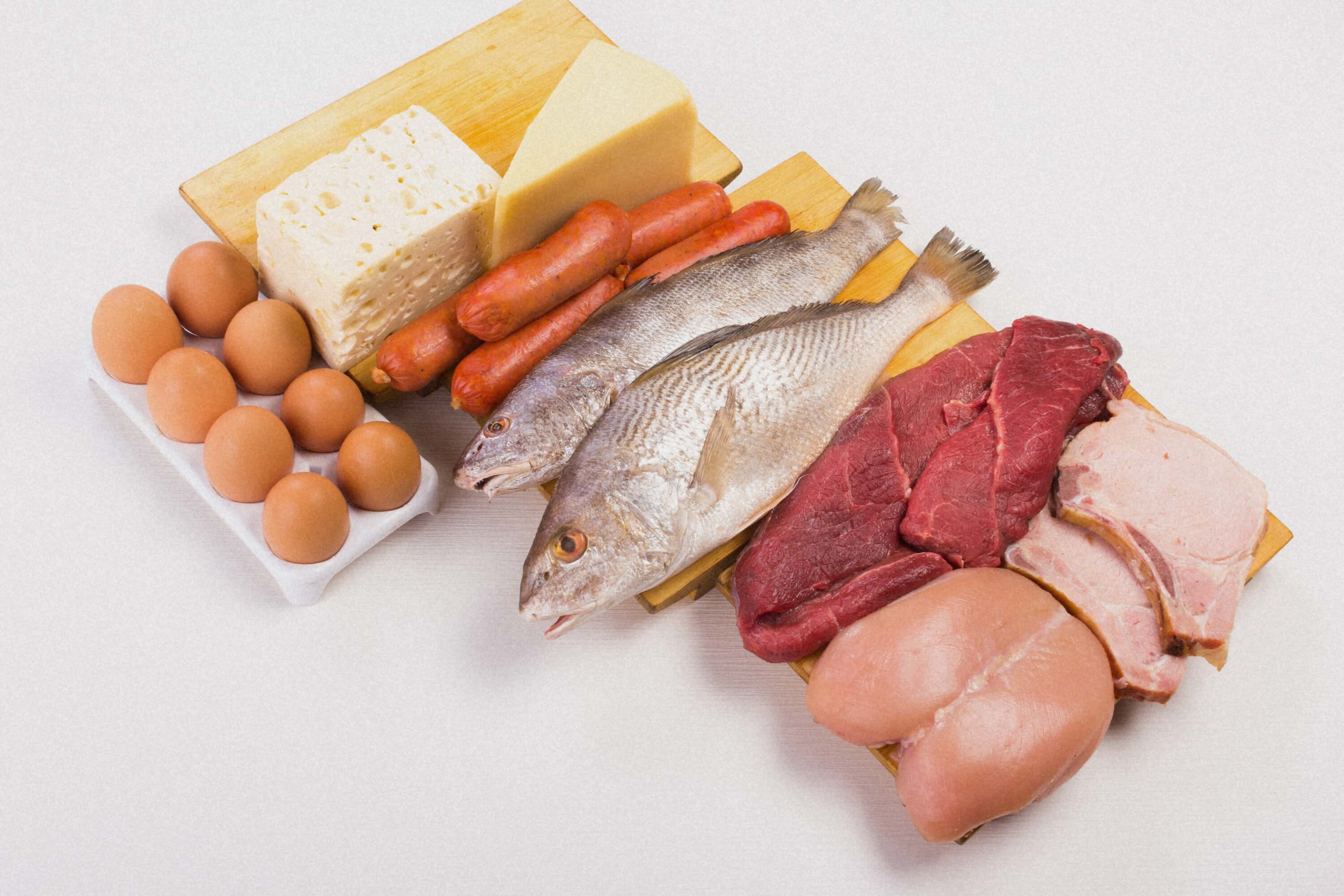 Proteinzufuhr