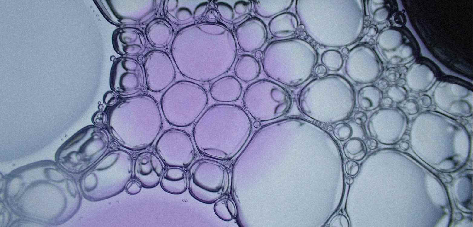 Spermidin Wirkung – So unterstützt es Ihre körpereigene Zellreinigung