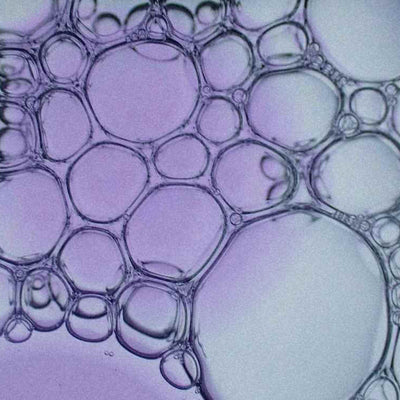Spermidin Wirkung – So unterstützt es Ihre körpereigene Zellreinigung