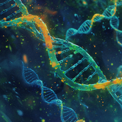 "Longevity" (Langlebigkeit) ist in aller Munde - so können Sie das Konzept für sich nutzen