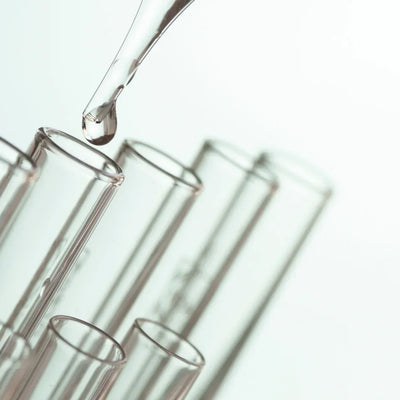 Warum altern wir? - Die "Hallmarks of Aging" einfach erklärt (mit dem Update zu den 3 neuen Hallmarks)