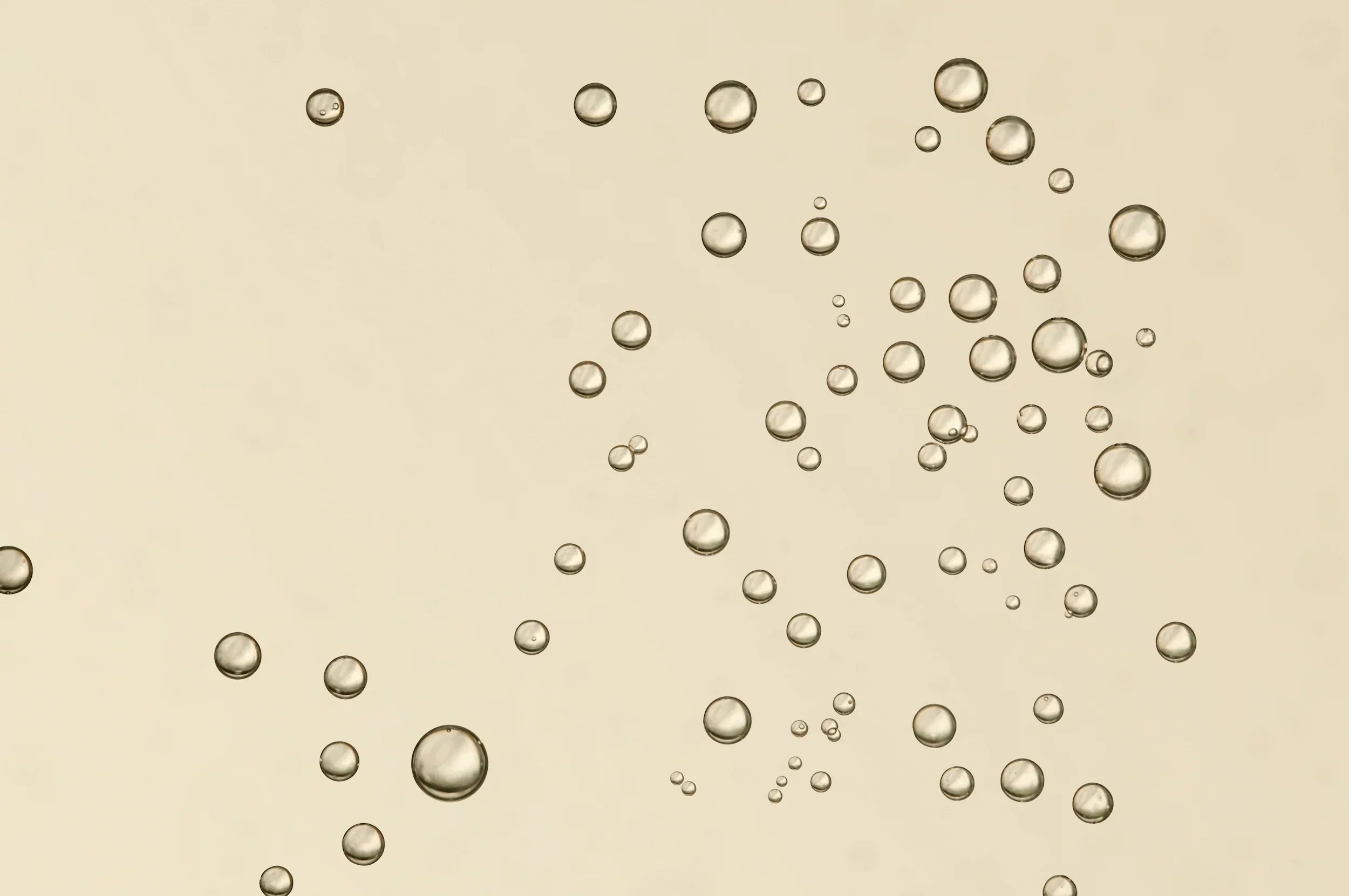 Detox, Cleansing, Entschlackung, Autophagie, Zellverjüngung, anti-aging