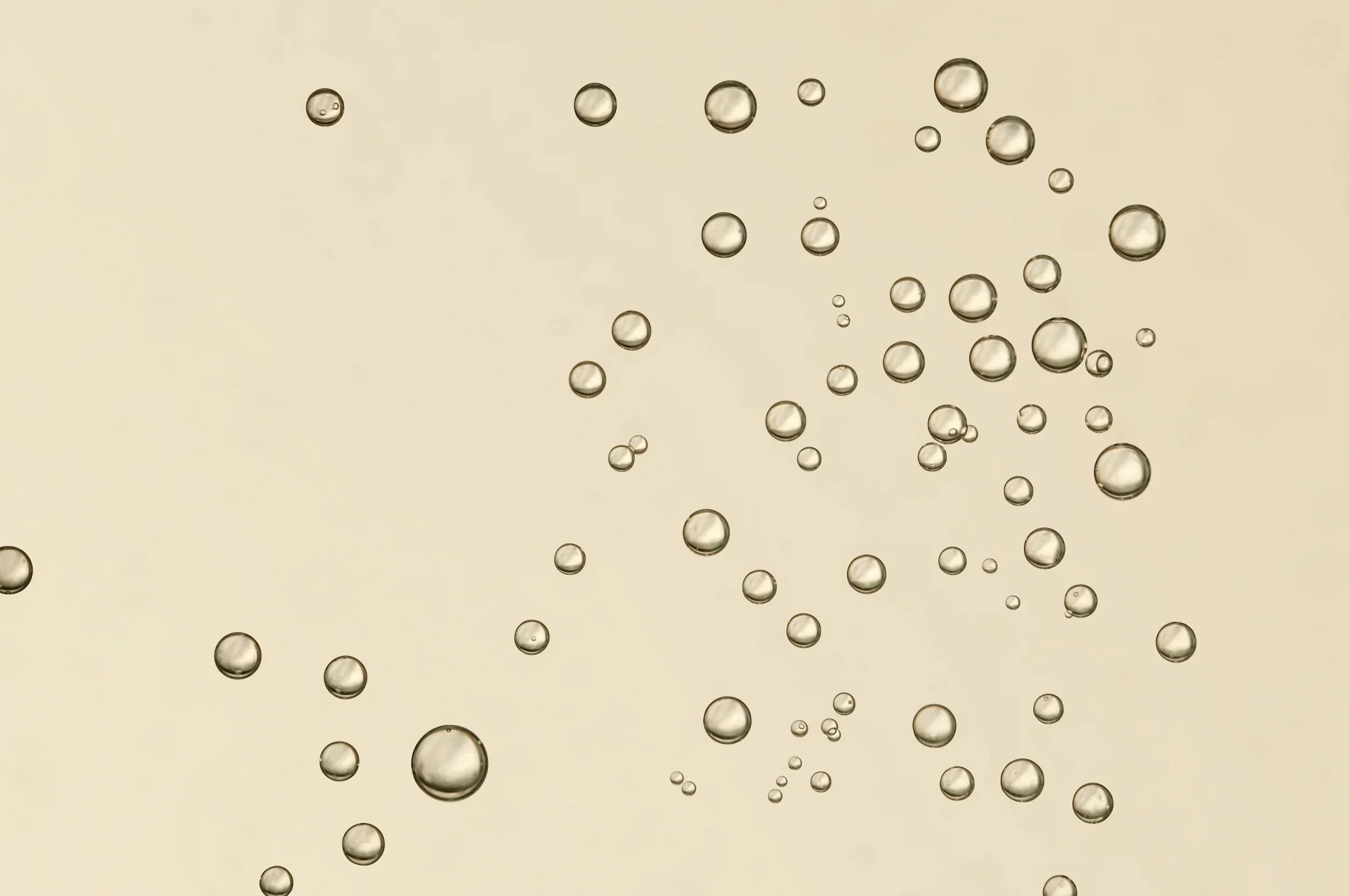 Detox, Cleansing, Entschlackung, Autophagie, Zellverjüngung, anti-aging