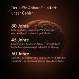 Zell Boost + Deep Recovery + Kollagen Plus + Neuro Fokus + Biom Aktiv