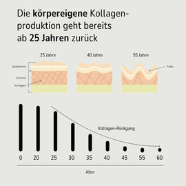 Zell Boost + Deep Recovery + Kollagen Plus + Neuro Fokus + Biom Aktiv