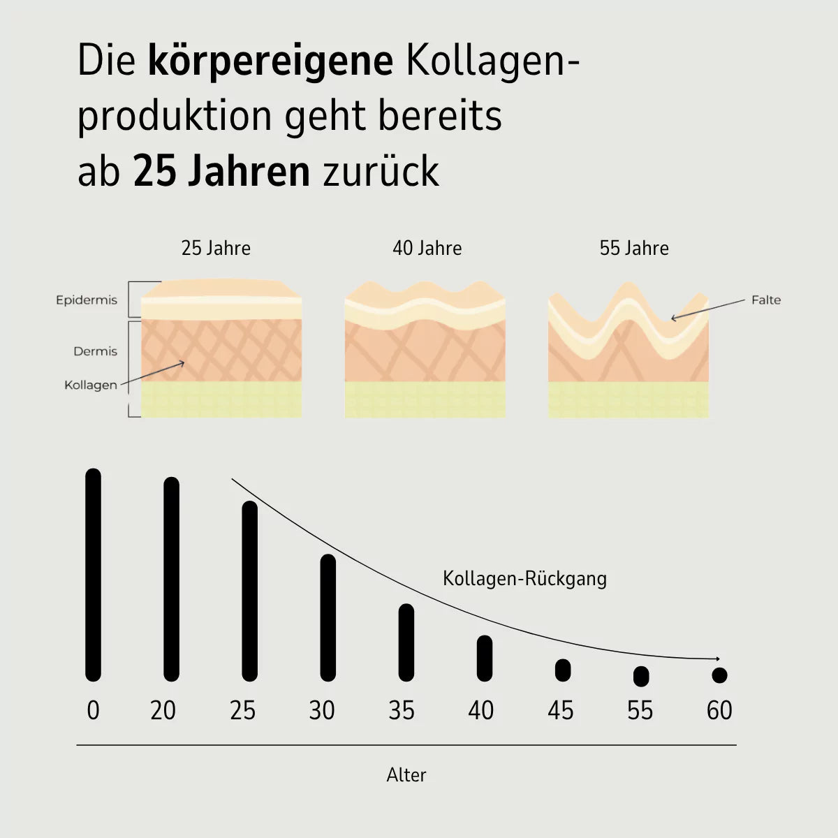 Zell Boost + Kollagen Plus + Neuro Fokus + Deep Recovery + Biom Aktiv | Challenge