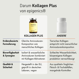 Zell Boost + Deep Recovery + Kollagen Plus + Neuro Fokus + Biom Aktiv