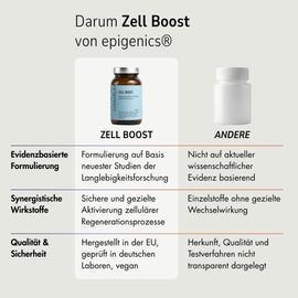 Zell Boost + Deep Recovery + Kollagen Plus + Neuro Fokus + Biom Aktiv