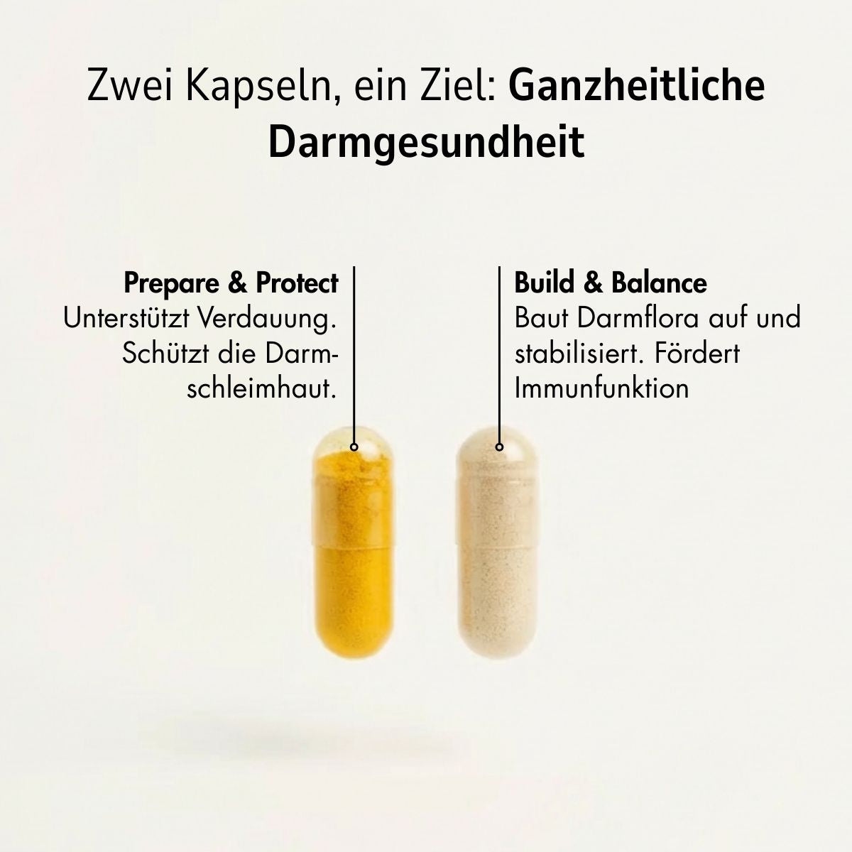 Zell Boost + Kollagen Plus + Neuro Fokus + Deep Recovery + Biom Aktiv | Challenge