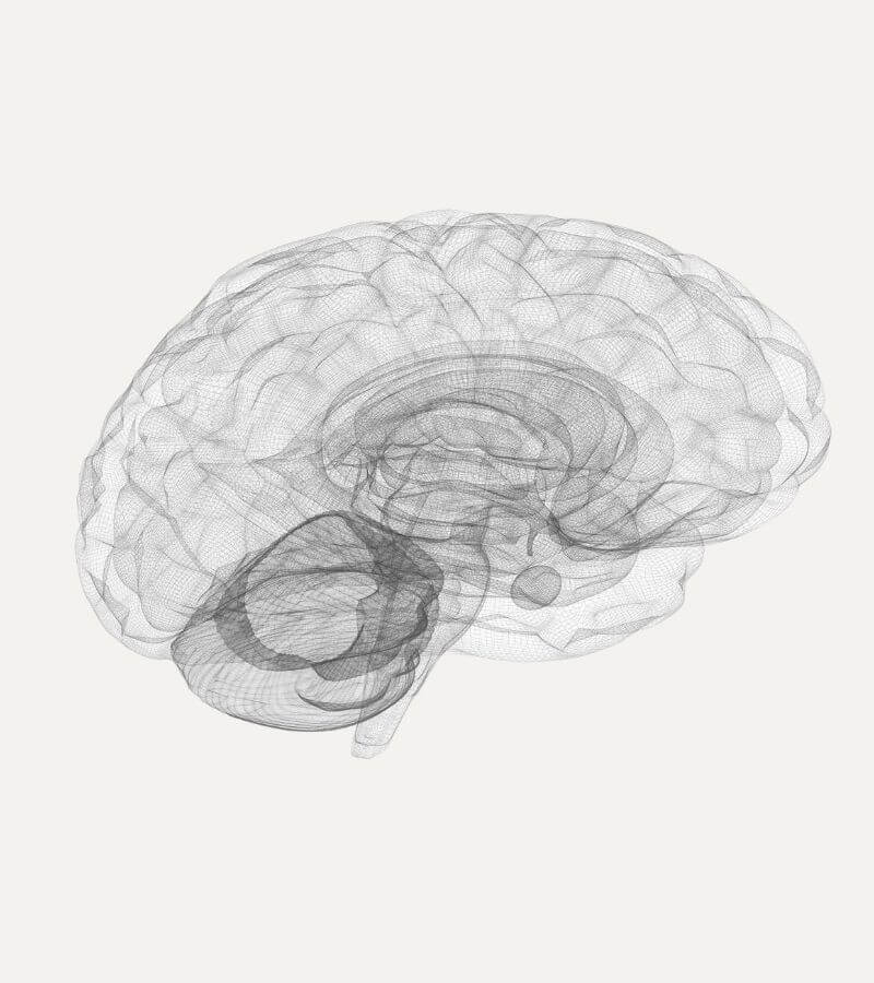 epigenics