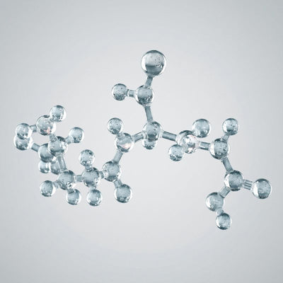 Molekülmodell von Glutathion