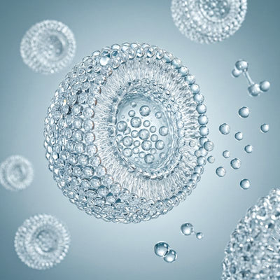 Illustration eines Liposoms aus Phospholipiden