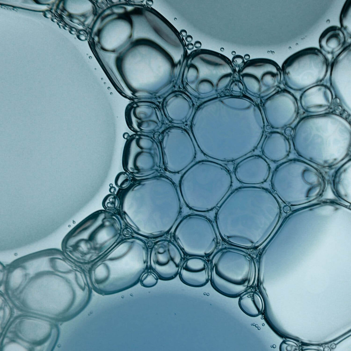 epigenics