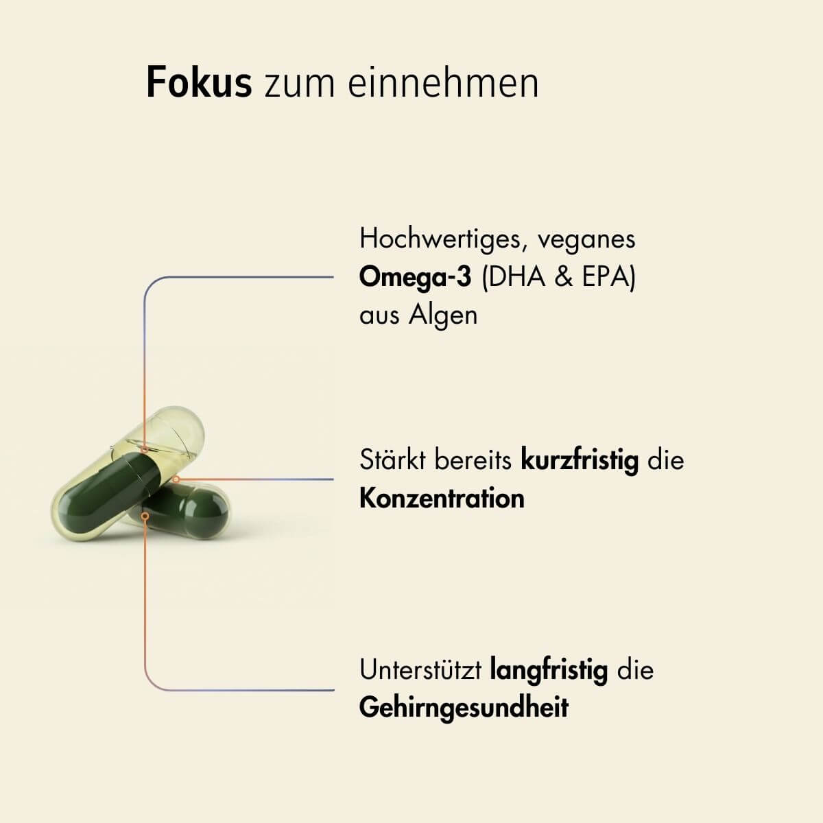 Zell Boost + Kollagen Plus + Neuro Fokus + Deep Recovery + Biom Aktiv | Challenge