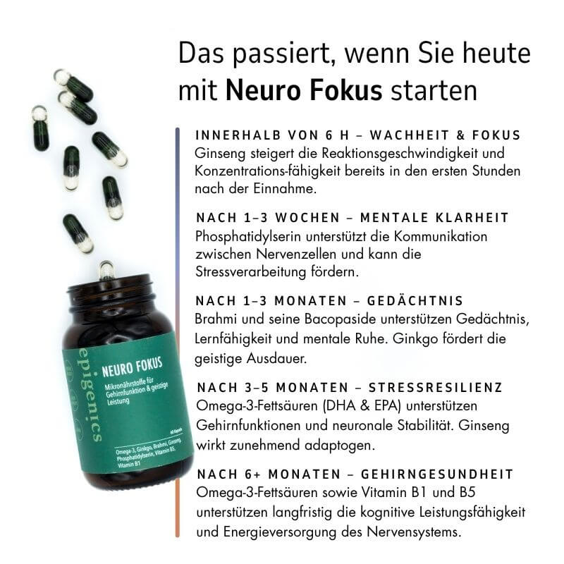 Zell Boost + Kollagen Plus + Neuro Fokus + Deep Recovery + Biom Aktiv | Challenge