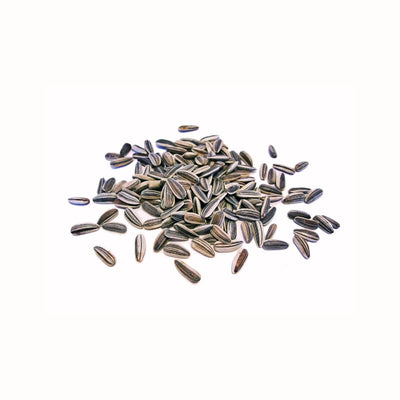 Phosphatidylserin