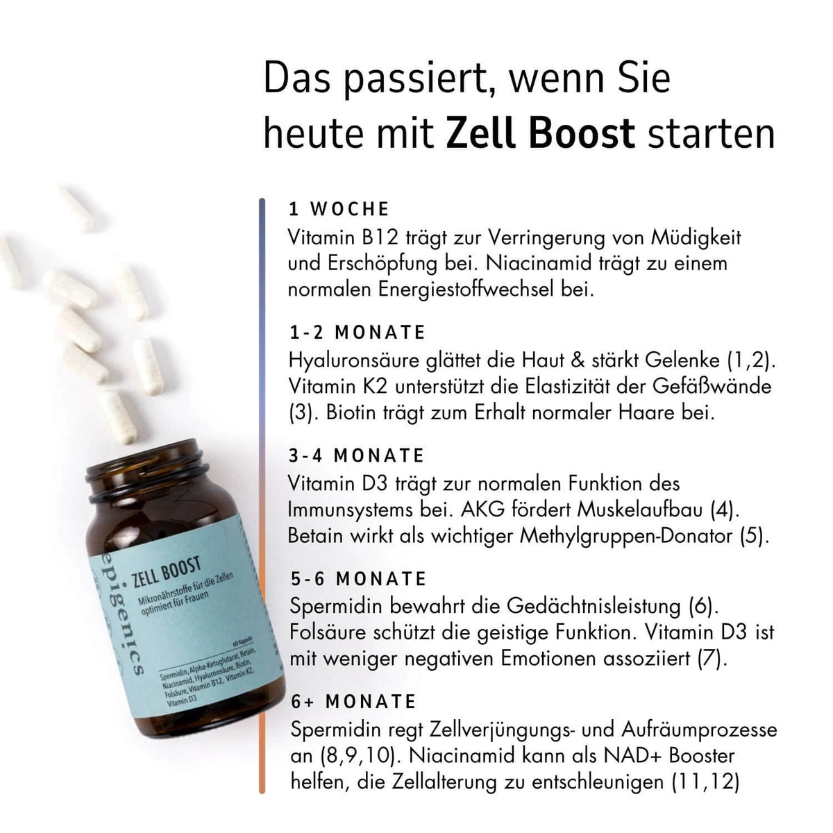 Zell Boost + Creatin Power Challenge